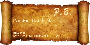 Pandur Barót névjegykártya